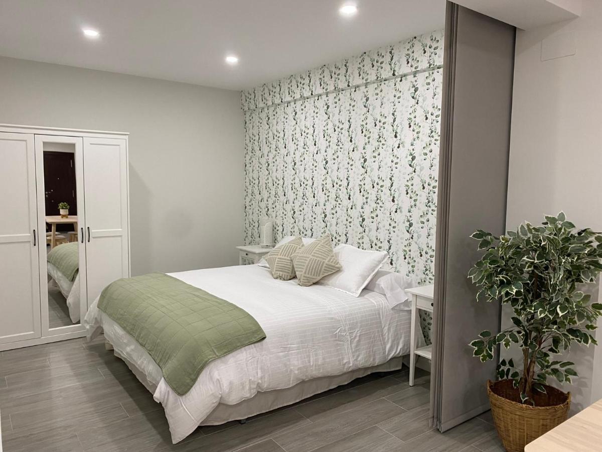 Loft Centrico 1